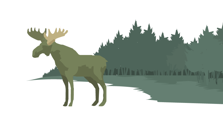 54a291d980b398e722e54526_timeline-canada.png