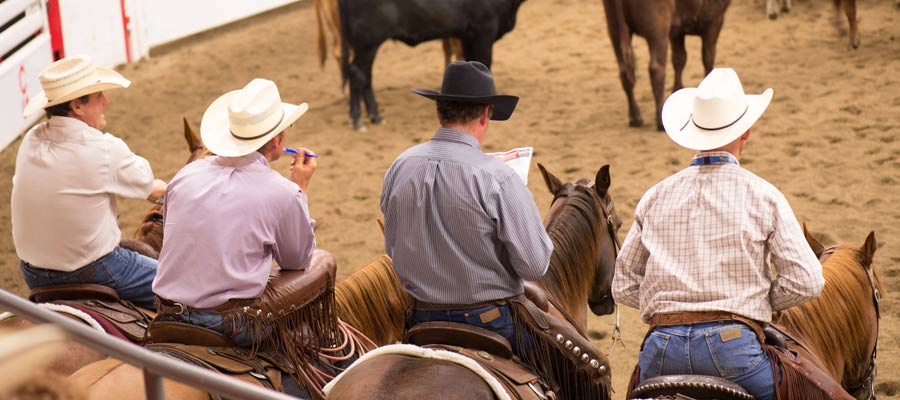 Calgary Stampede rodeo in Canada