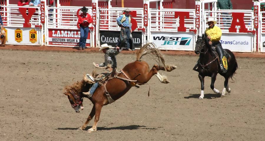 Calgary Stampede rodeo in Canada