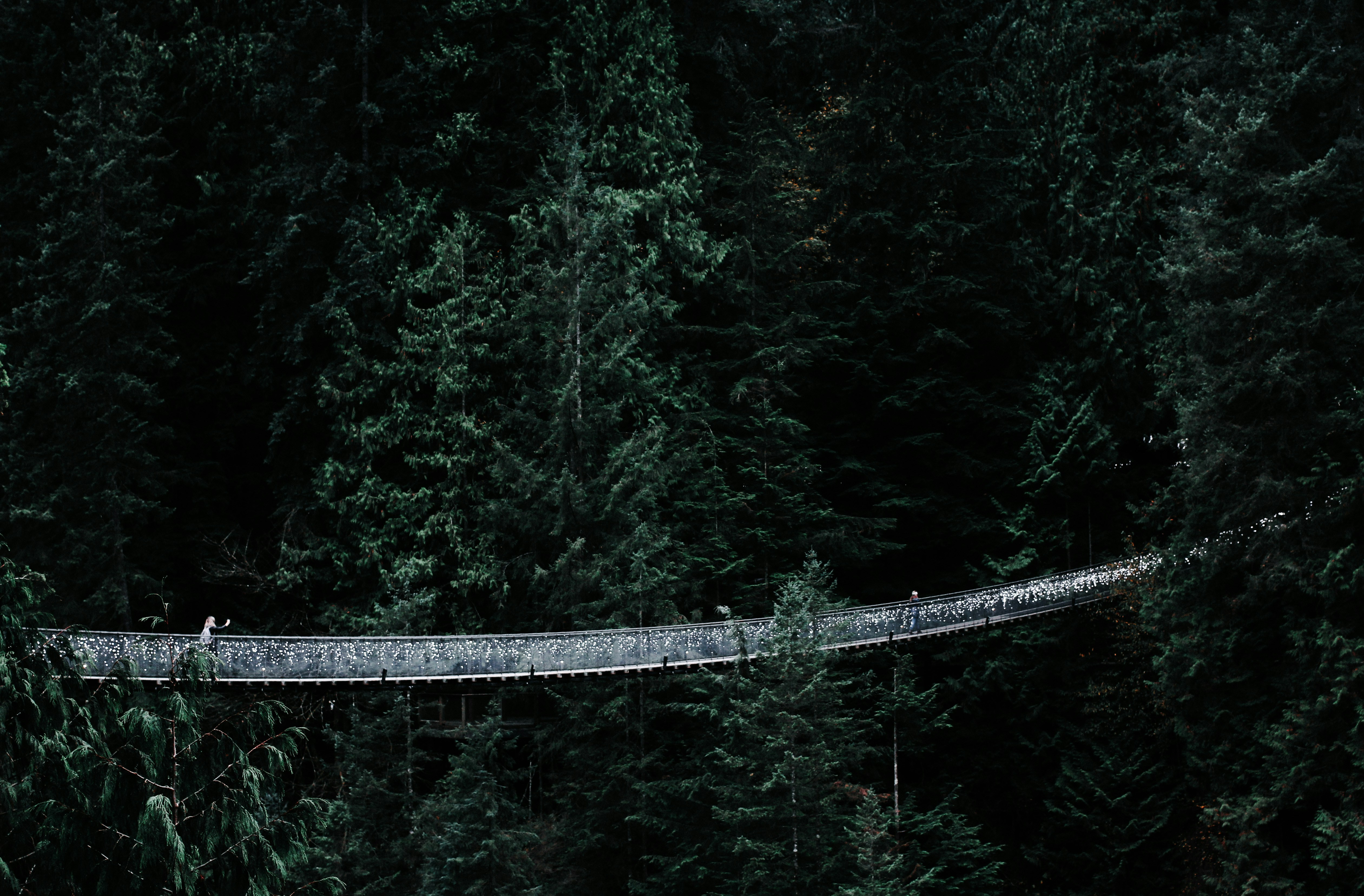 Capilano Suspension Bridge