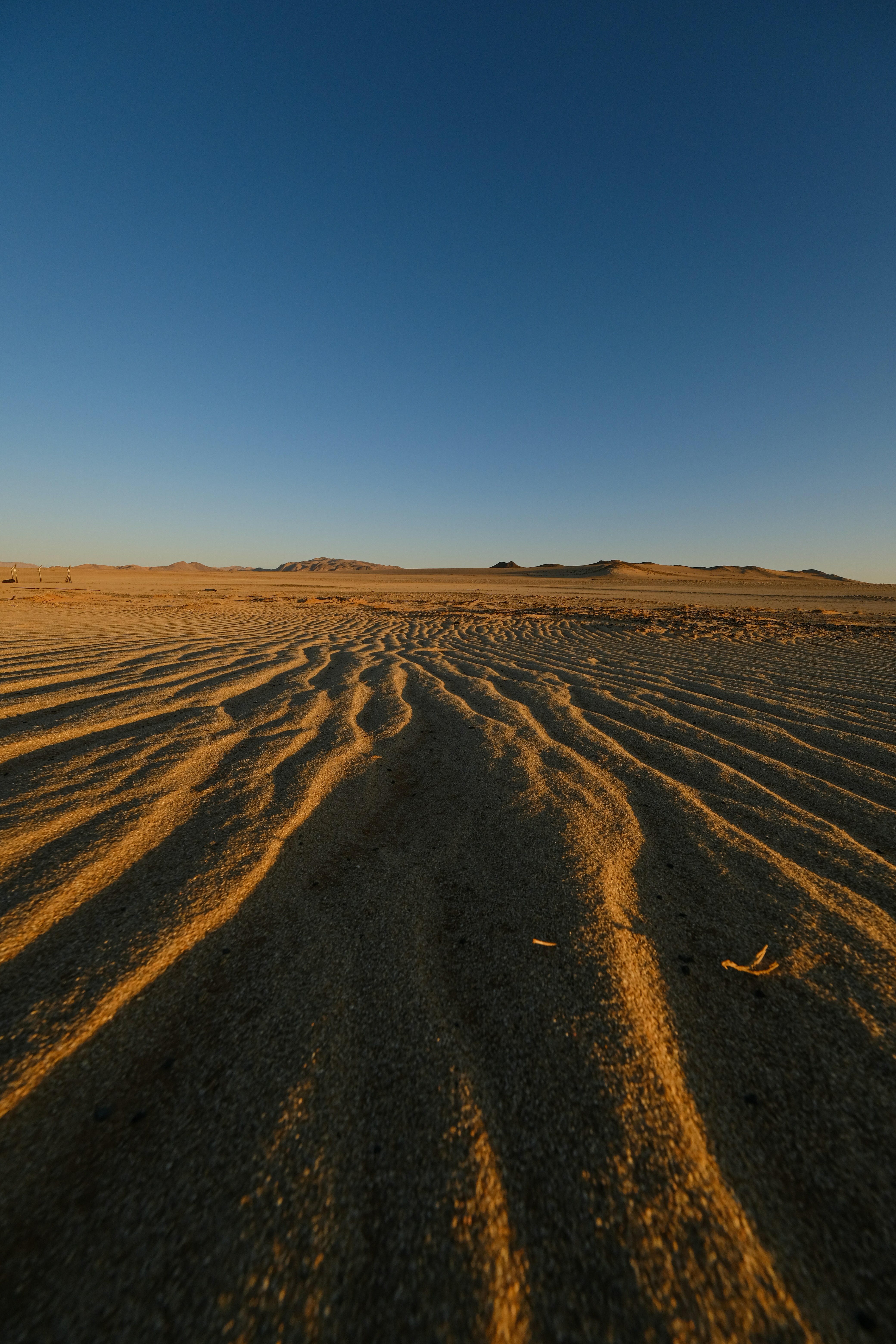 deserti del canada
