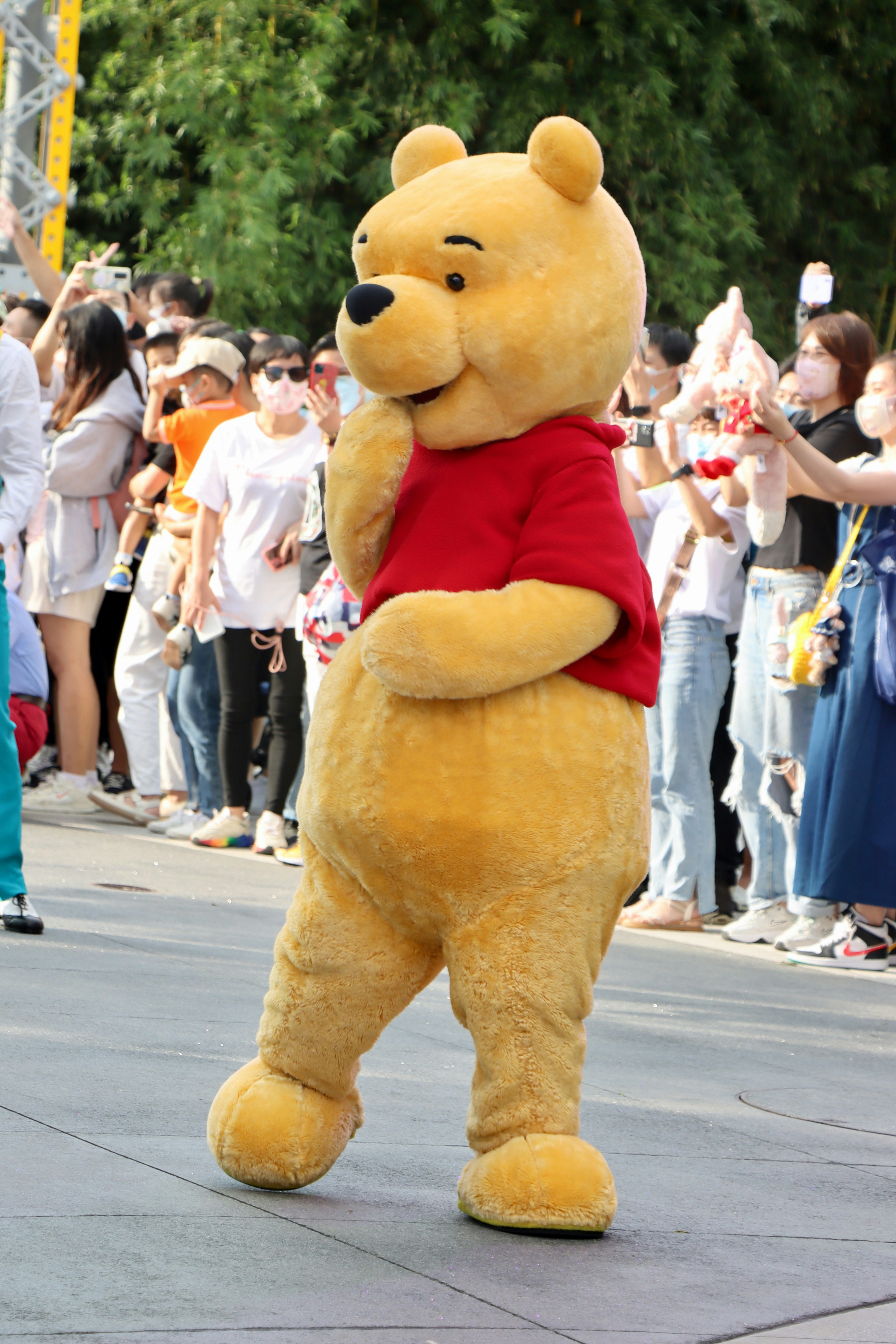 Winnie The Pooh