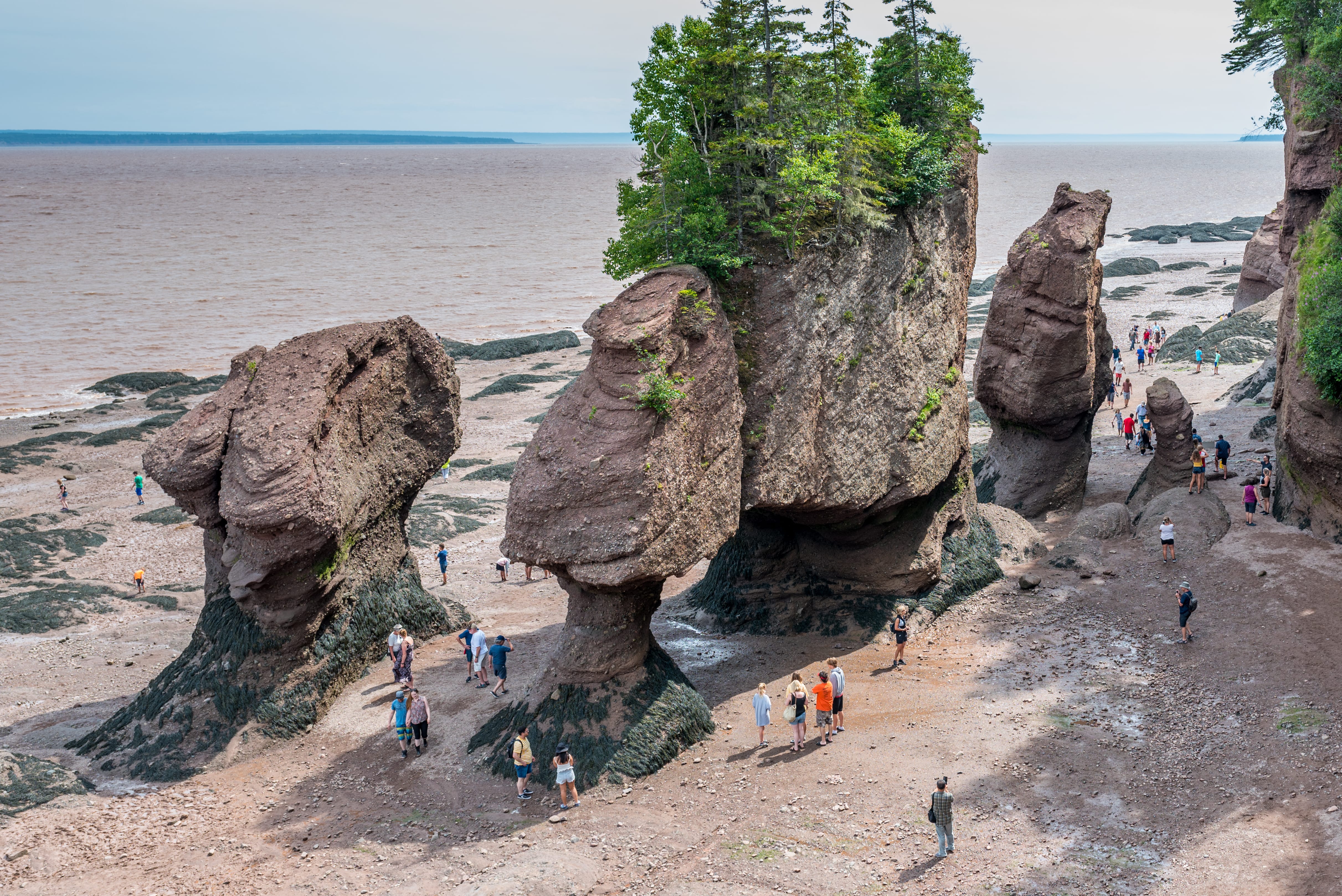 Maree Baia di Fundy Canada Orientale