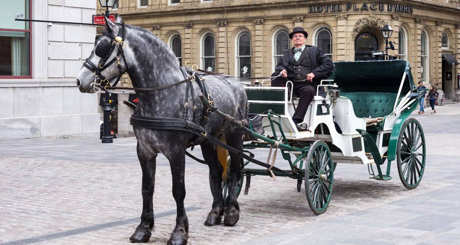 cosa vedere a montreal