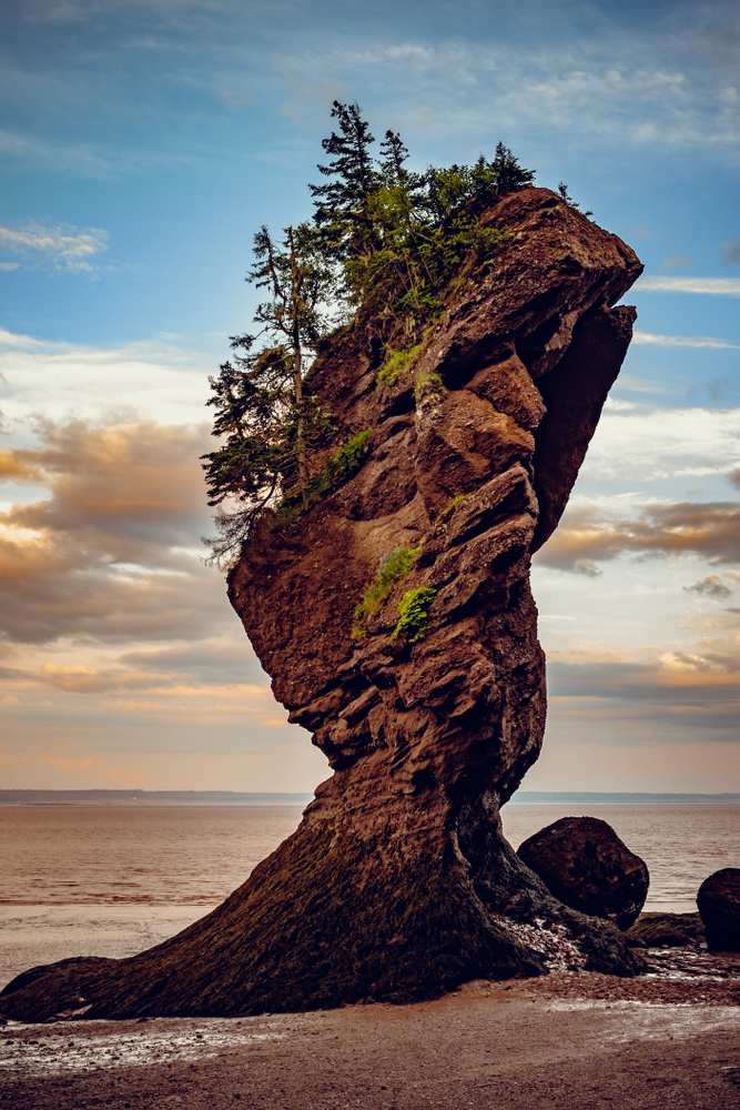 Rocce Baia di Fundy