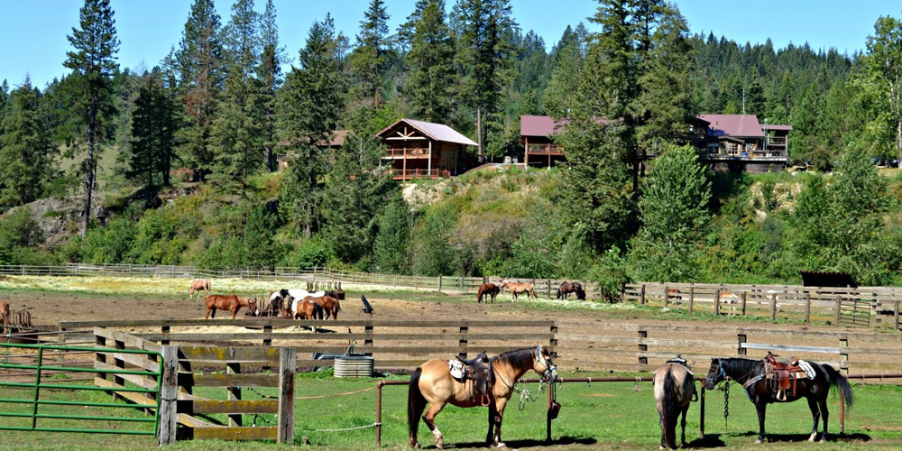 viaggio e pernottamento nei ranch del Canada