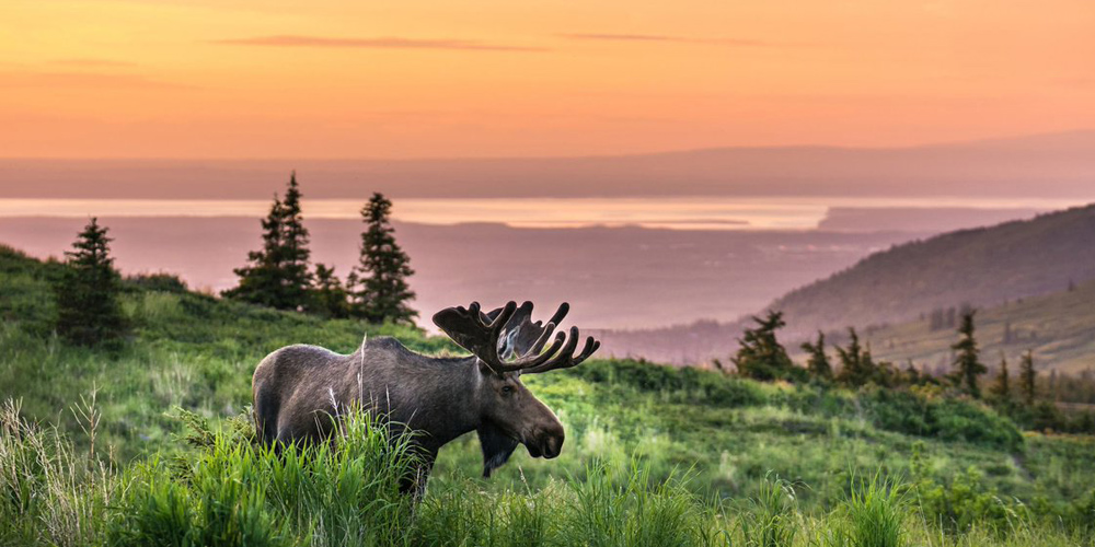 viaggio in Yukon e Alaska