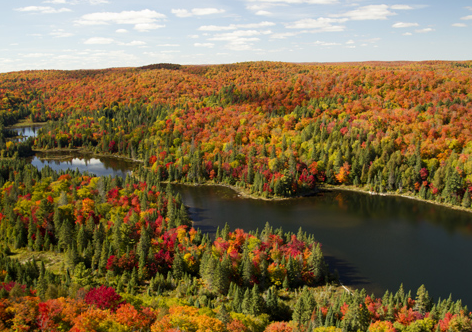 autunno in Canada Algonquin Park