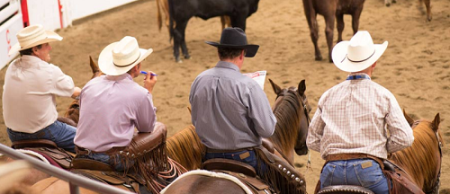 Calgary Stampede in provincia di Alberta, Canada