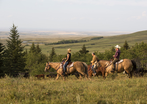 vaste praterie in provincia Saskatchewan