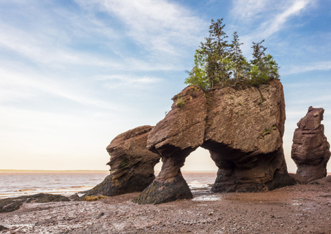 New Brunswick Canada: natura