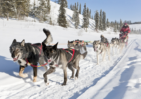 Yukon in Canada nord