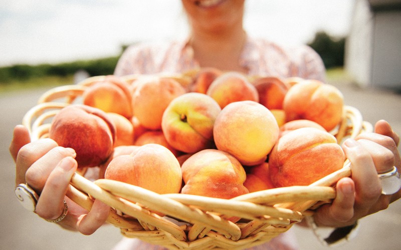 colline ondulate, locande, birrerie e delizie gastronomiche locali a km.0