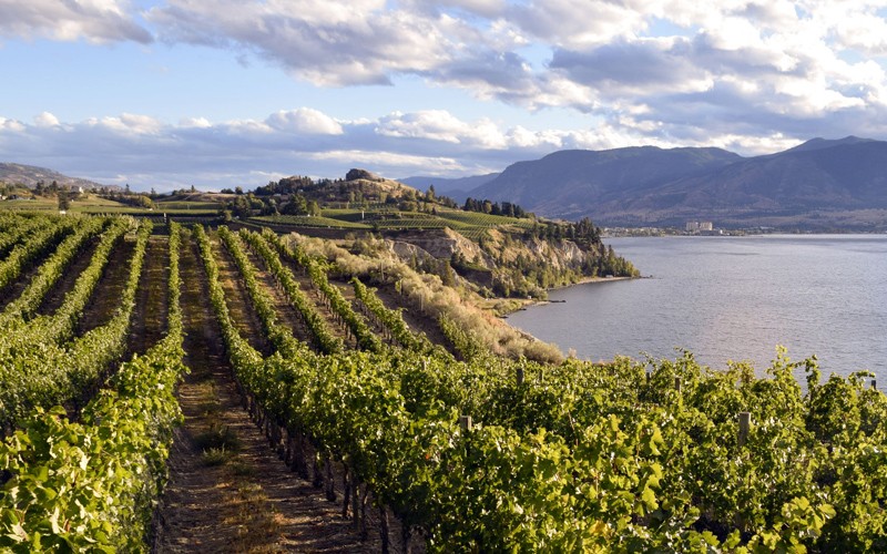 laghi, fiumi e colline piene di vigneti in questa splendida zona della British Columbia