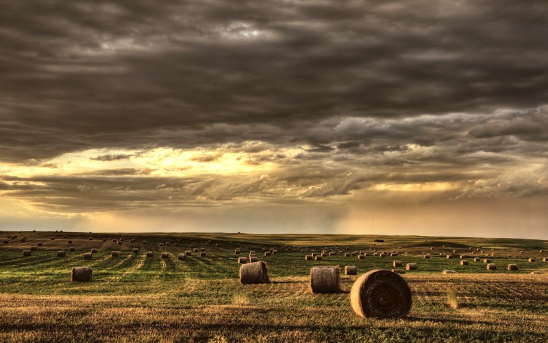 infinite distese di grano, silos di cereali e cieli sconfinati