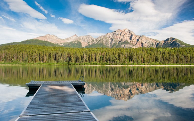 bungalow fronte lago con alci, renne e caribu che passeggiano davanti a te