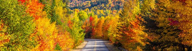 foliage in canada