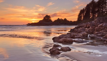 tofino canada