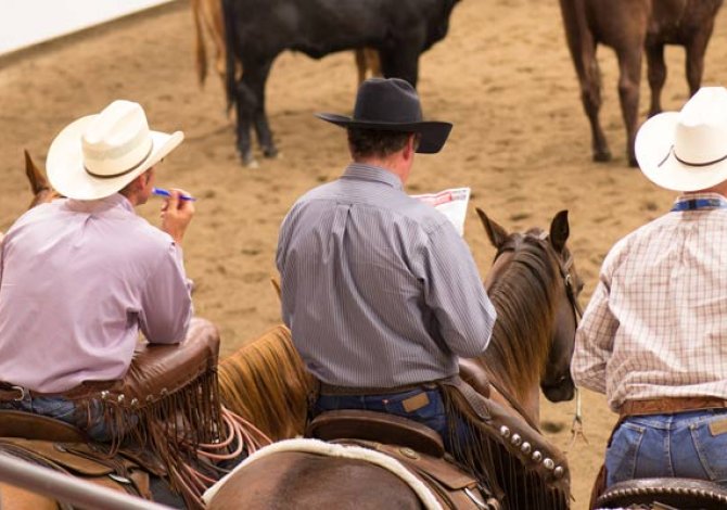 Calgary Stampede rodeo in Canada